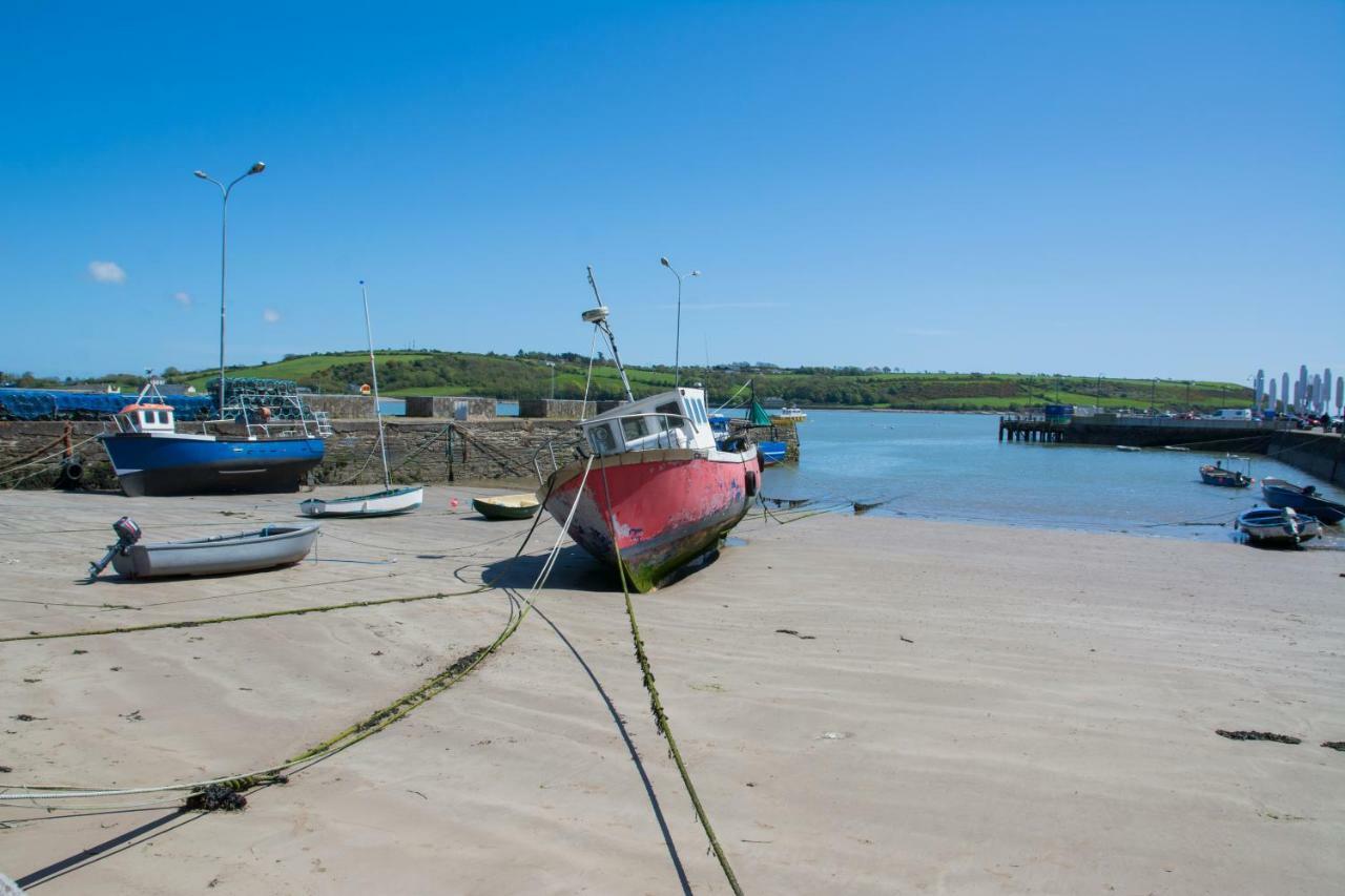 Devon View House Bed and Breakfast Youghal Eksteriør billede